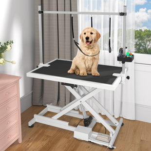 EDROSIE INC 50'' W x 26'' D Dog Electric Grooming Table