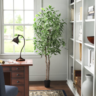 THREE POSTS™ 72'' Faux Ficus Tree in Pot