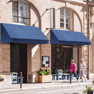 DIENSWEEK 6.76' W x 2.95' D Polyester Blue Cover Door Awning