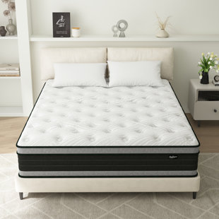 ALWYN HOME Asellus 14'' Medium Firm Hybrid Pillow Top Mattresses In a Box