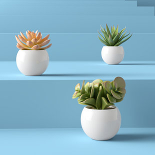 HASHTAG HOME 5'' Faux Succulent Plant in Pot (Set of 2)