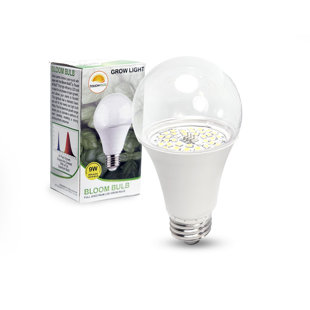 TOUCH OF ECO Full Spectrum Led Grow Light Bulb For Indoor Plants, Gardens And Grow Tents - Fruits & Vegetables