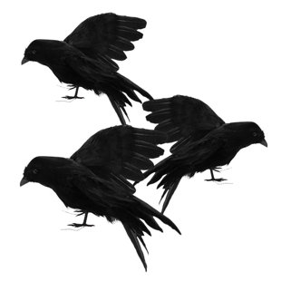 THE HOLIDAY AISLE® 3 Pack Realistic Crows Handmade Black Feathered Crow Props Raven for Halloween Decorations