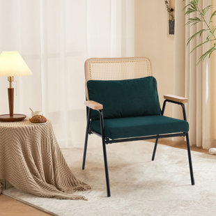 17 STORIES Alcedo Velvet Armchair