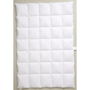 CENTA-STAR EXTRA 100% Daunen Bettdecke Ambiente (medium)