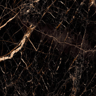 MALAKAN INC. Portoro Gold 48" x 48" Marble Look Wall & Floor High Glossy Black Porcelain Tile