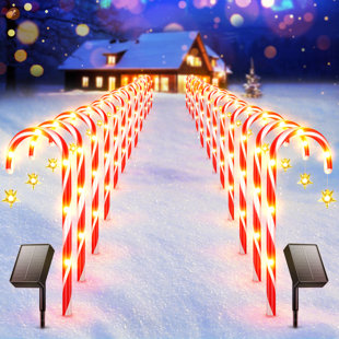 THE HOLIDAY AISLE® Jalie Solar Powered Christmas Candy Cane Lights Garden Stake Lighted Display (Set of 24)