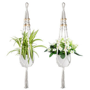 DAKOTA FIELDS Chazlyn Cotton Rope Plant Hanger: Stylish Indoor/Outdoor Hanging Planter Basket (33.5 Inch) (Set of 2)