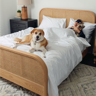 PAW BRANDS 70%cotton, 30%lyocell Bedding Set