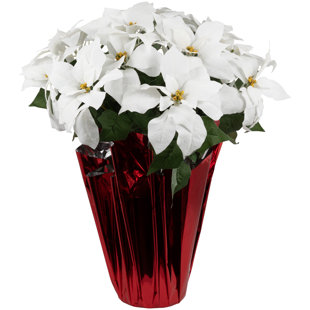 NORTHLIGHT SEASONAL Poinsettia Arrangement