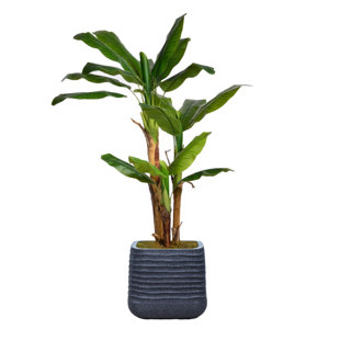 VINTAGE HOME 66.57'' Plant in Planter