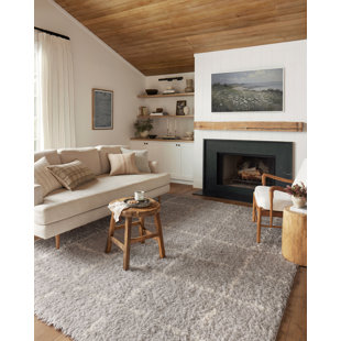 Angela Rose x Loloi Amira Silver / Ivory Area Rug