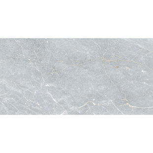 MALAKAN INC Marmo Grigio 24" X 48" Marble Look Wall & Floor Tile Matt Porcelain Tile