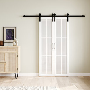 HOME WORTHY Double Glass Sliding Barn Door with Installation Hardware Kit