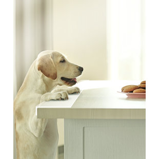 CLAWGUARD Clear Counter Protector Scratch Barrier Against Sharp Nails