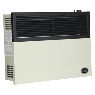 Ashley Hearth Products 17000 BTU BTU Propane Wall Mounted Space Heater
