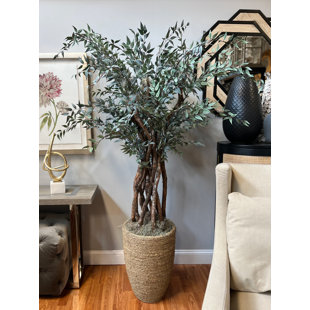 CREATIVE DISPLAYS, INC. 6.5' Faux Italian Ruscus Tree in Seagrass-Wrapped Pot