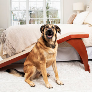 PETSAFE® CozyUp Bed Ramp