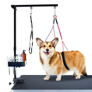 SHELANDY Pet Grooming arm with clamp for Dogs