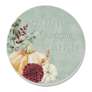 THIRSTYSTONE Thankful 4 Pack Round Absorbent Stone Coaster