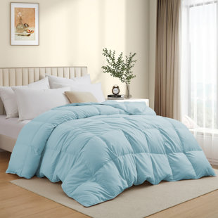 ALWYN HOME 600in³/oz Fill Power All Season Goose Down Comforter