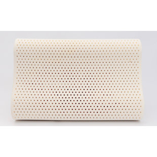 DREAM LOGIX HEALTHY SLEEP SOLUTIONS Pillow