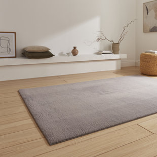 THINK RUGS Snug area rug Machine Woven Dark Grey