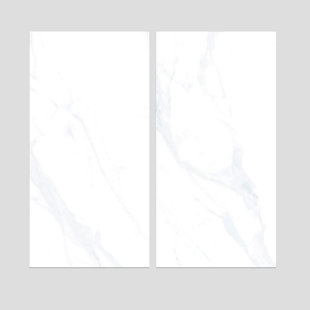 THOMAS AVENUE CERAMICS Haven 12" x 24" Porcelain Marble-Look Floor and Wall Tile