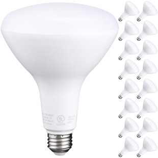 TORCHSTAR BR40 LED Dimmable Light Bulb, 17W (100W Eqv), 1400 Lumens, E26 Base (Set of 16)