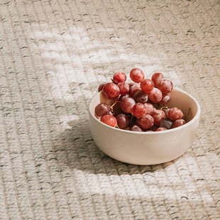 MINORI CASA Amara Rectangle Area Rug in Natural/Black