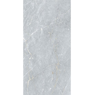 MALAKAN INC Marmo Grigio 24" x 48" Marble Look Wall & Floor Tile Natural Glossy Porcelain Tile