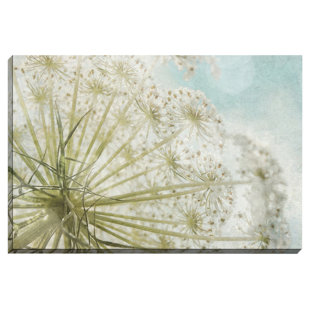 BASHIAN HOME Little Wishes by Jenndalyn Photographic Print on Wrapped Canvas