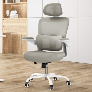 INBOX ZERO Groningen High Back Ergonomic Chair with Adjustable Headrest and Lumbar Support
