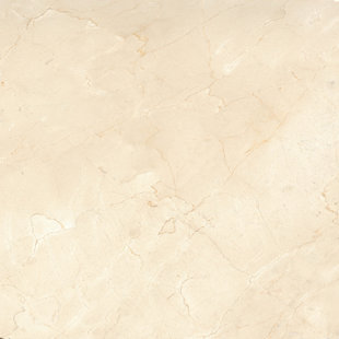 EMSER TILE Crema Marfil 24" x 24" Marble Look Wall & Floor Tile