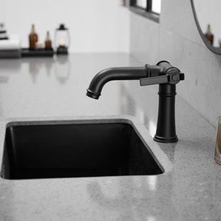 VIBRANTBATH Single-Hole 2-handle Bathroom Faucet with Drain Assembly