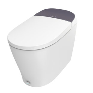 Dyconn 0.7 Gallons GPF Elongated Floor Mounted Bidet Toilet (Seat Included)