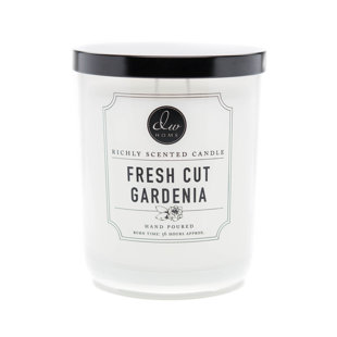 DWHOME Signature Fresh Cut Gardenia Scented Jar Candle