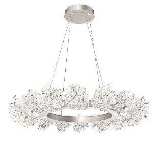 HAMMERTON STUDIO Blossom Ring Chandelier