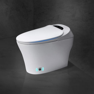 FANGFLOWER Smart Bidet Toilet, Elongated Comfort Height Bidet Toilet With Warm Wash, Heated Seat(Seat Included)