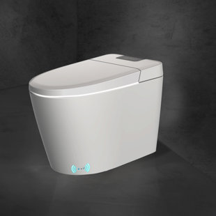 FANGFLOWER Smart Bidet Toilet, Elongated Comfort Height Bidet Toilet With Warm Wash, Heated Seat(Seat Included)