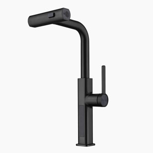 LEFTON Single Handle Kitchen Faucet with Accessories