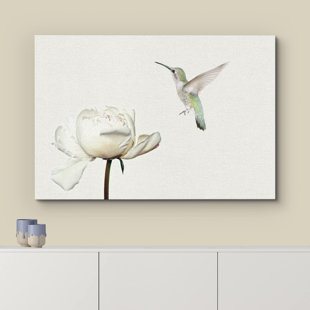 IDEA4WALL Animals " Hummingbird Flies On White Carnation Flower "