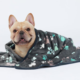 TOCCOLEGGERO Pet Blanket