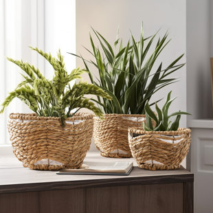 KELLY CLARKSON HOME Olivia Indoor Seagrass Planter Pot (Set of 3)