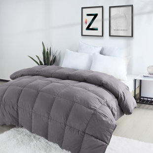 HOMECHOICE INTERNATIONAL GROUP All Season Cotton Down Comforter