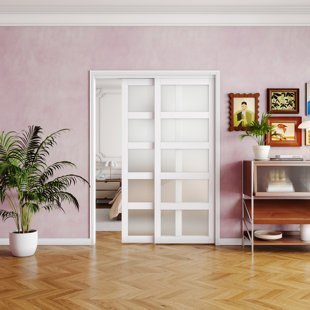 CHIC MODE 5-lite Frosted Glass Wood and Glass Prefinished Sliding Closet Door