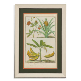 BASSETT MIRROR On Paper Print