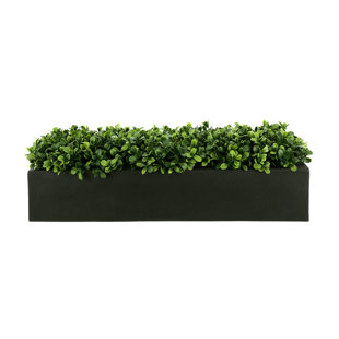 FREEPORT PARK® Artificial Boxwood Plant in Fiberstone Planter