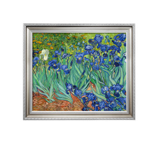 DECORARTS Irises in the Garden, Vincent Van Gogh Art Reproduction. Giclee Canvas Prints Wall Art