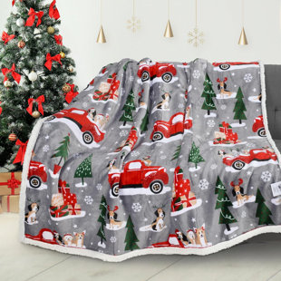 TOCCOLEGGERO Heated Throw Blanket